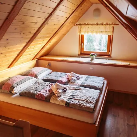 Dom wakacyjny House Pokrovec - Bohinj