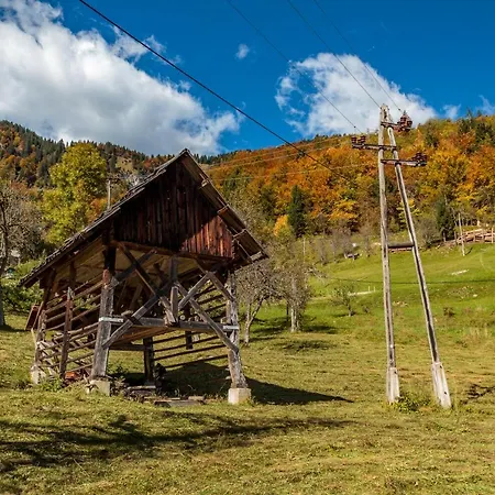 House Pokrovec -