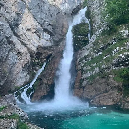 House Pokrovec - Bohinj