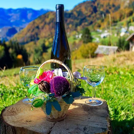 House Pokrovec - * Bohinj