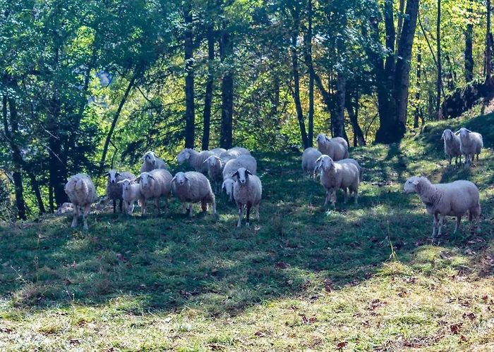 בית נופש House Pokrovec - בוהין